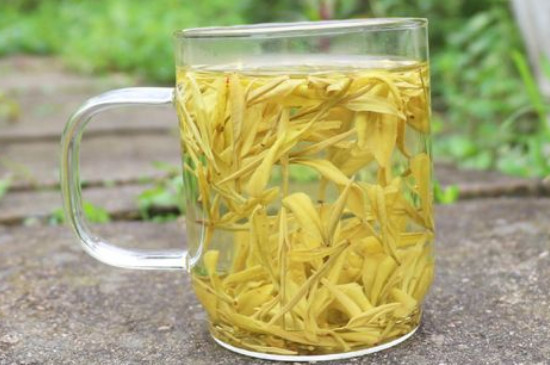 黄金芽茶叶价格一般在多少_580～8000元左右一斤