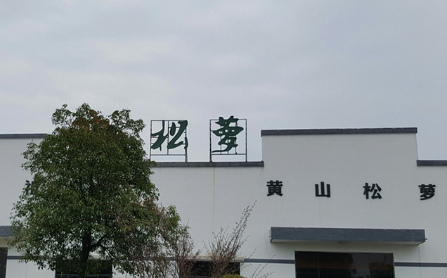 松萝茶博物馆图片