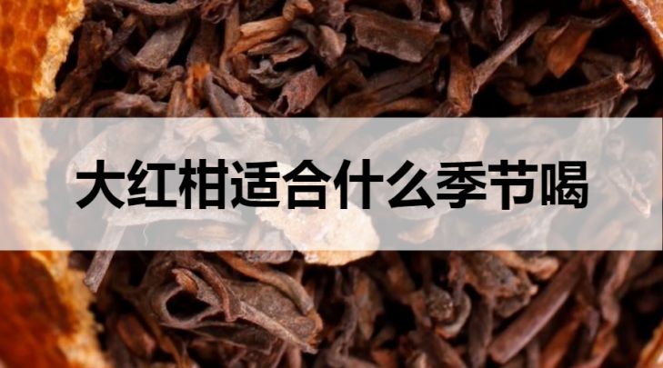 大红柑普洱茶适合什么季节喝？