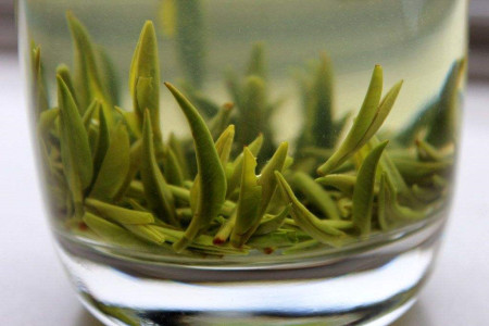 竹叶青属于什么茶？竹叶青茶多少钱一斤？