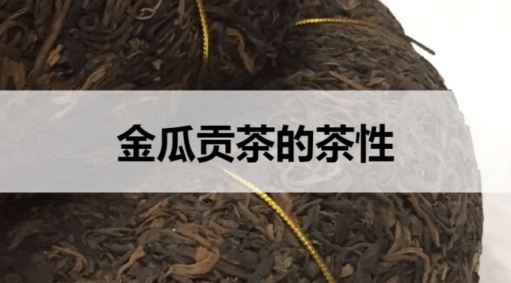 金瓜贡茶是温性还是凉性的？