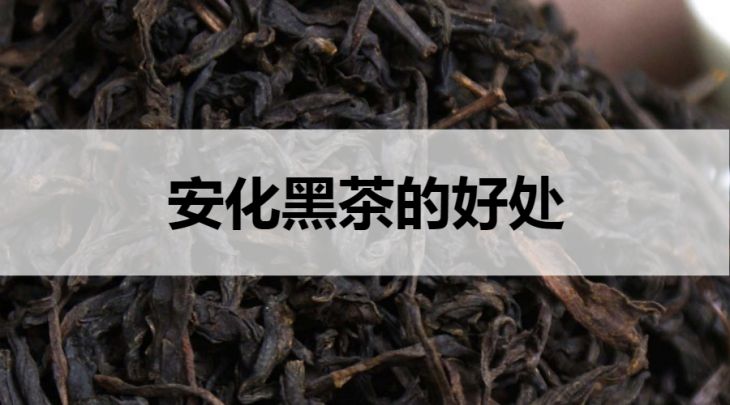 安化黑茶的好处有哪些？