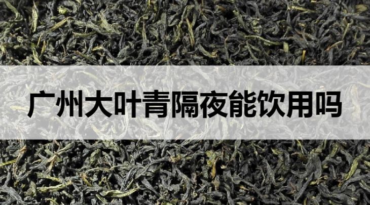 隔夜的广东大叶青茶能喝吗？