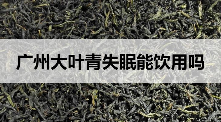 失眠可以喝广东大叶青茶吗？