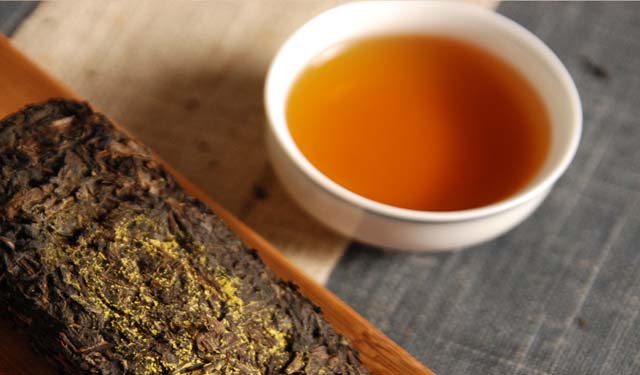【黑茶知识】安化黑茶有绿毛？安化黑茶变质怎